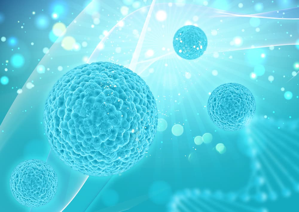 Nanobowls serve up chemotherapy drugs to cancer cells