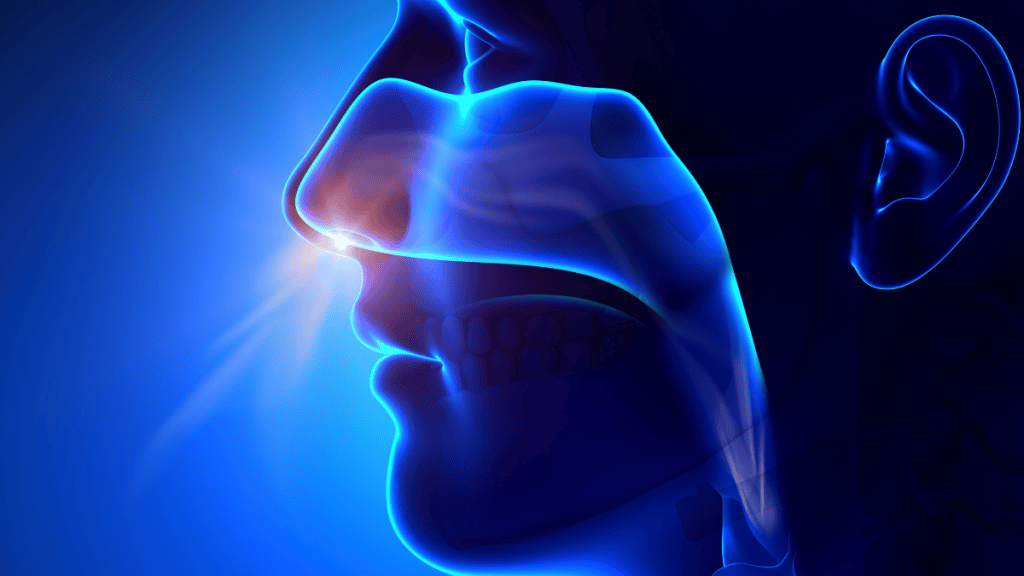 E-nose Parkinson's Disease diagnosis and algorithms