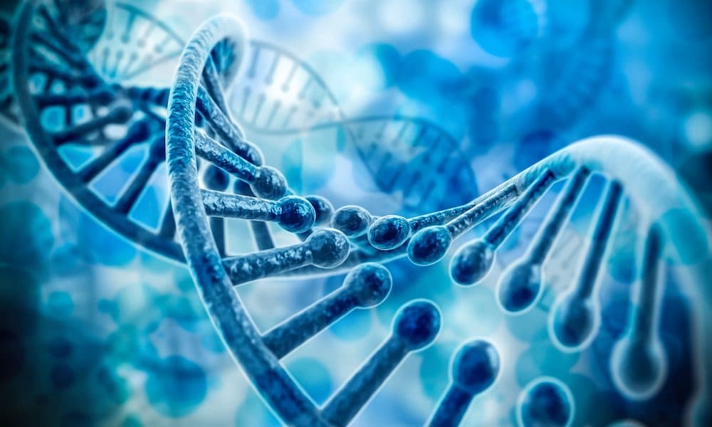 Genetic test can diagnose certain immune system disorders