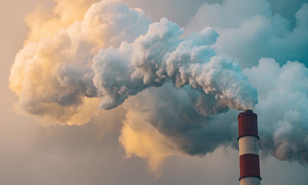 GPs call for point of care testing to cut carbon emissions