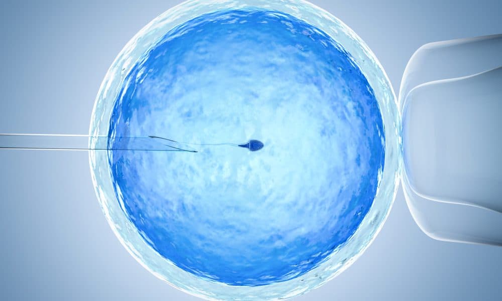 Air pollution linked to decreased IVF success