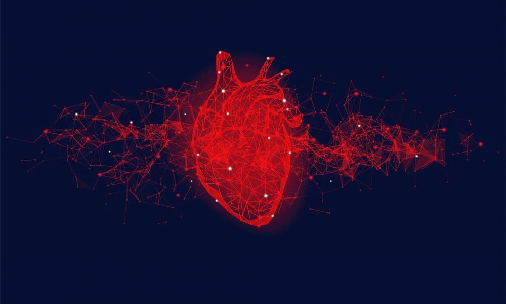 AdobeStock_312976841-1000×600 Boston Scientific obtains CE Mark for next generation of cardiac mapping